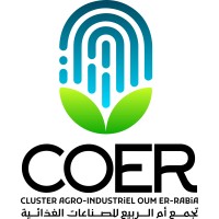 Cluster COER logo