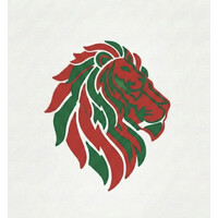 Boom IA logo