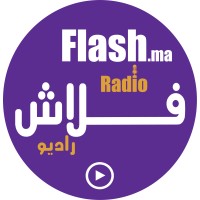 Flash radio logo