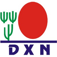 Daxen Morocco LLC (DXN Group) logo