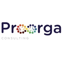 PROORGA CONSULTING logo
