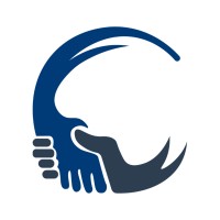 Consulteam logo