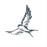 Inuka Partners logo