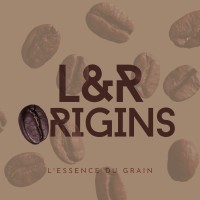 L&R Origins logo