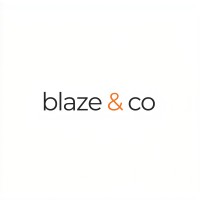 Blaze & co logo