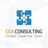 CEA Consulting logo
