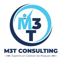 M3T Consulting logo