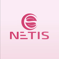 NETIS Group logo