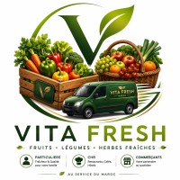 Vita Fresh logo