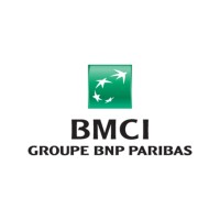 BMCI Groupe BNP Paribas logo