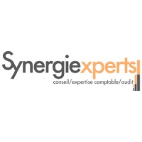 SYNERGIE EXPERTS logo